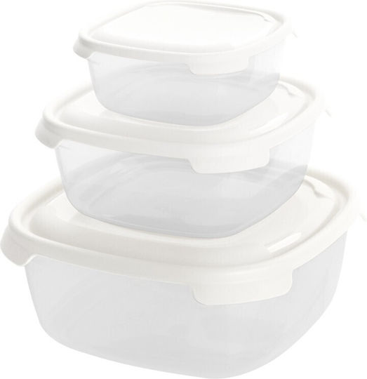 Viosarp Plastic Lunch Box 3pcs