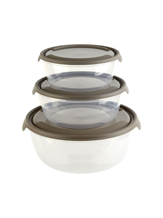 Viosarp Plastic Lunch Box 3pcs