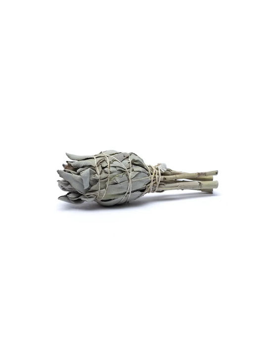 White Sage Smudge Torch 12χ4cm 2 Ραβδιά Θυμιάματος Λευκό Φασκόμηλο