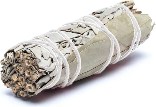 White Sage Eucalyptus Smudge Stick 10x3cm Incense Stick Sage Eucalyptus