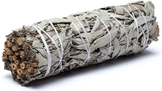 White Sage Smudge Stick 10χ3cm 3 Ραβδιά Θυμιάματος Λευκό Φασκόμηλο