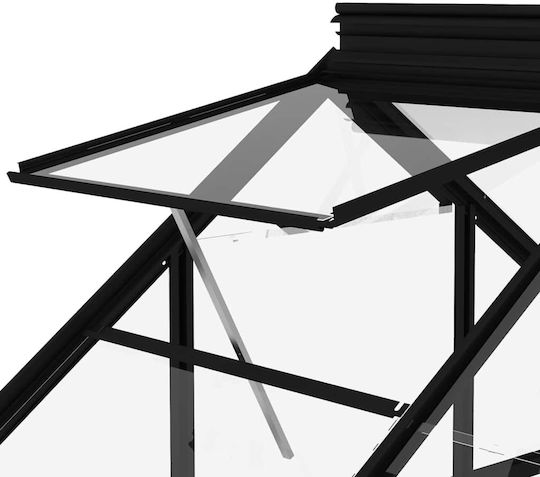 vidaXL 316504 Greenhouse House Type