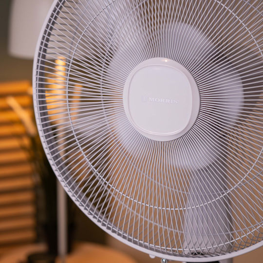 Morris Pedestal Fan 60W 40cm Diameter with Remote Control White
