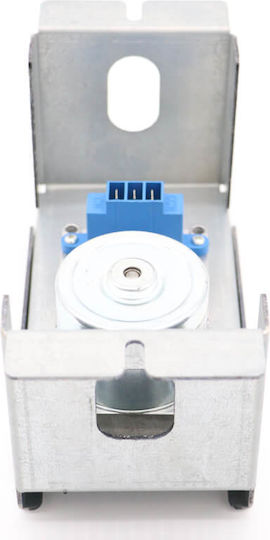 Maxima Motor