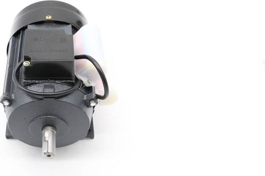 Maxima Motor