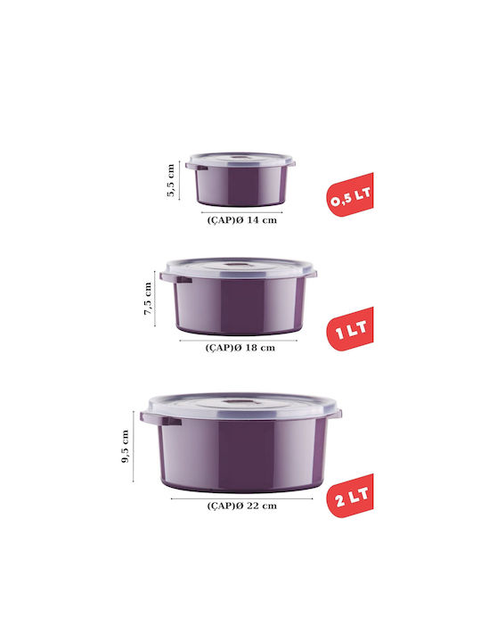 Set Mittagsboxen Kunststoff Lila 6x6cm 6 Stück