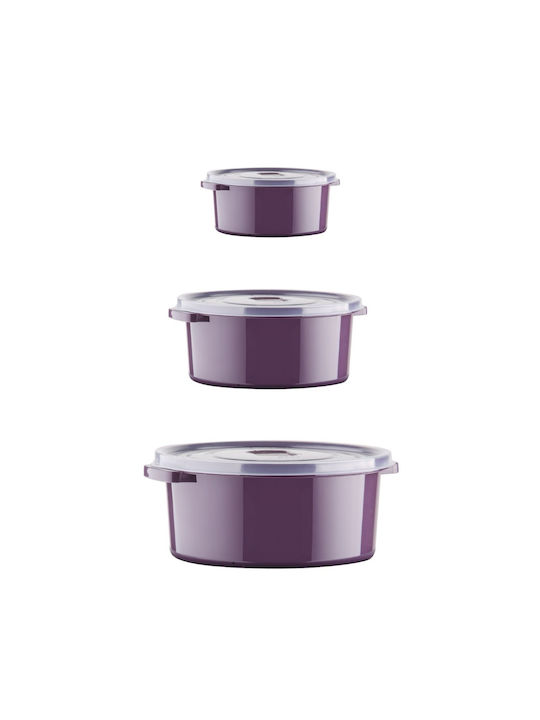 Set Cutii De Prânz Din Plastic Violet 12 Bucăți