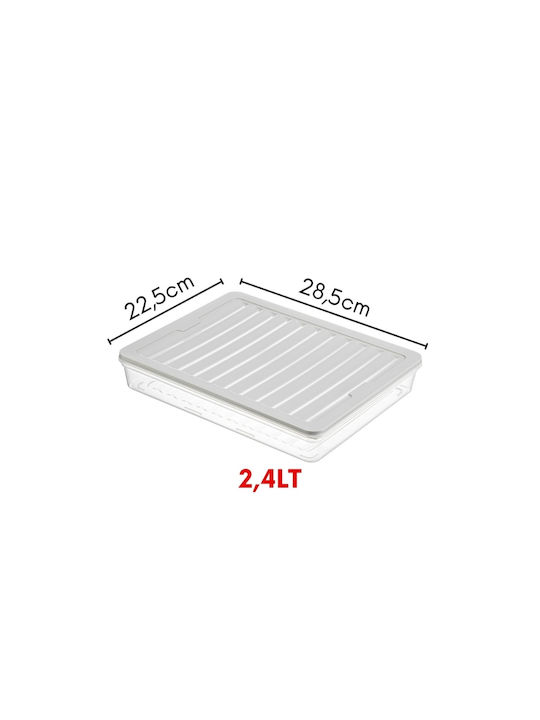 Plastic Transparent Lunch Box 2.4lt