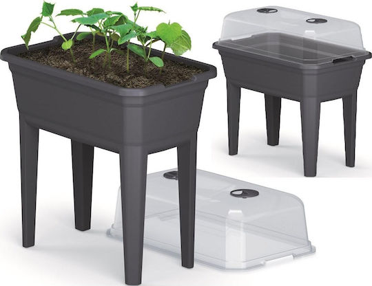 Prosperplast IPE600-S433 Mini Σπορείο 36.8x59.6x75.3cm