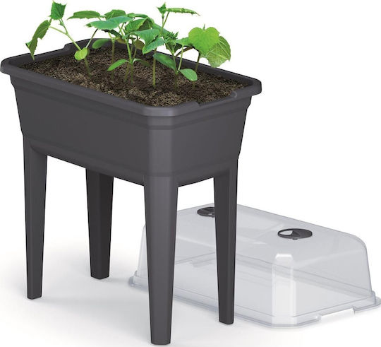 Prosperplast IPE600-S433 Mini Σπορείο 36.8x59.6x75.3cm