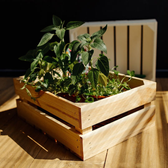 Creative Dekorative Kiste für den Garten Hölzernes 40cmx30cmx15cm JAN-CD-SKRZYNKA-NATURAL-40x30x15