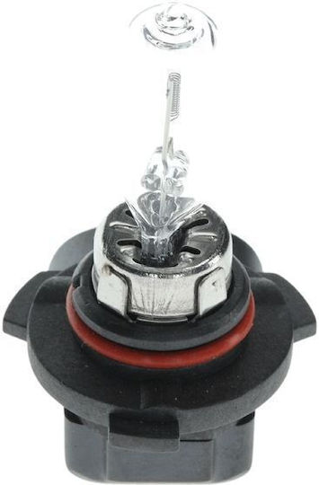 Bosch Lampen Auto & Motorrad Eco HB3 Halogen 12V 60W 1Stück