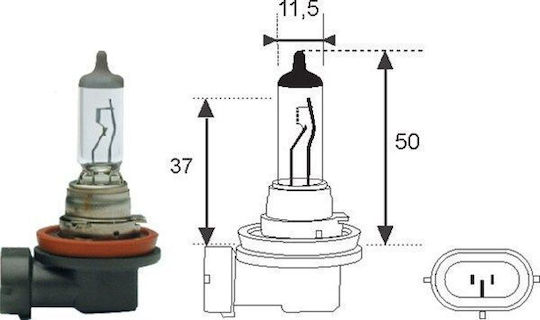 Bec H11 12V 51W