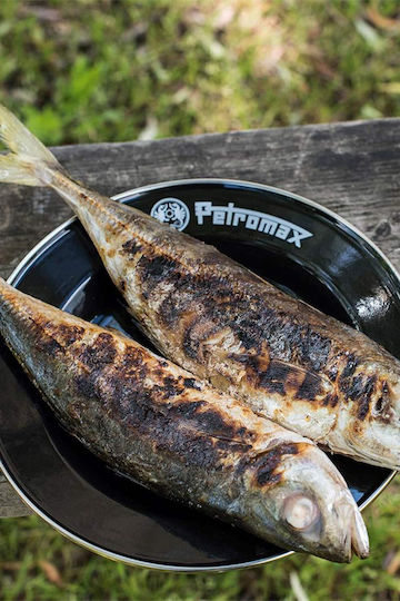 Petromax Πιάτο Ρηχό Εμαγιέ Μαύρο με Διάμετρο 18cm 2τμχ Petromax Πιάτο Ρηχό Εμαγιέ Μαύρο με Διάμετρο 18cm 2τμχ