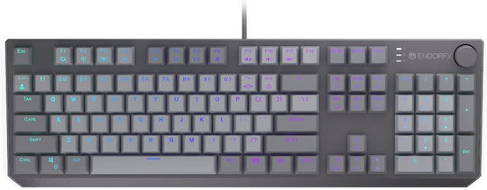 Endorfy Thock V2 Gaming Mechanisches Tastatur mit Benutzerdefinierten Rot Schaltern und RGB Beleuchtung (Englisch US)