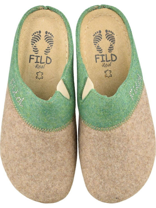 Fild Anatomic Fild Anatomic