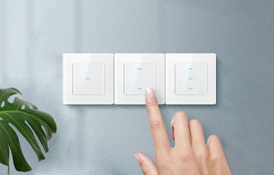 Avatto Avatto Χωνευτός Διακόπτης Τοίχου Wi-Fi Διπλός με Πλαίσιο Λευκός