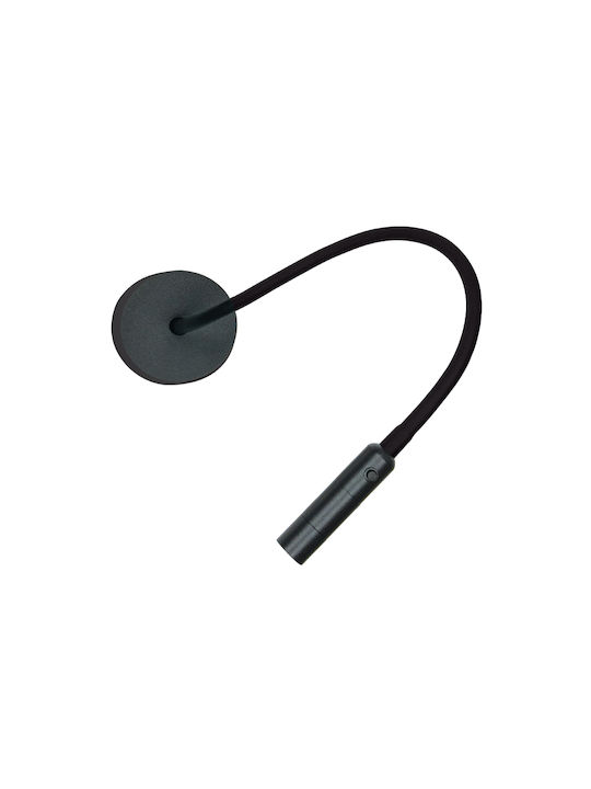 Zambelis Lights LED Warm White Spot in Black Color