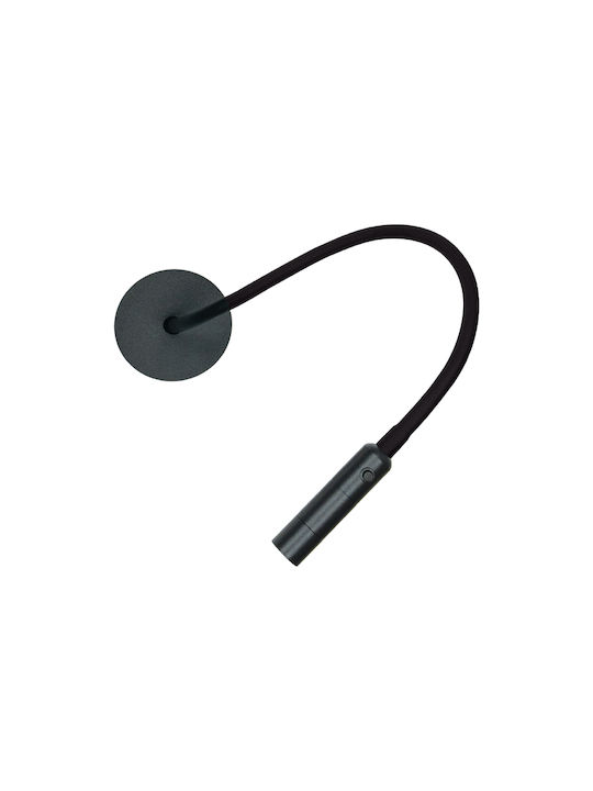 Zambelis Lights LED Warm White Spot in Black Color