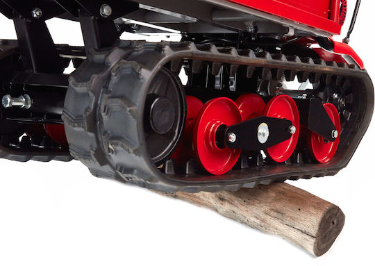 IBEA Transportation Vehicle for Weight Load up to 300кг Red