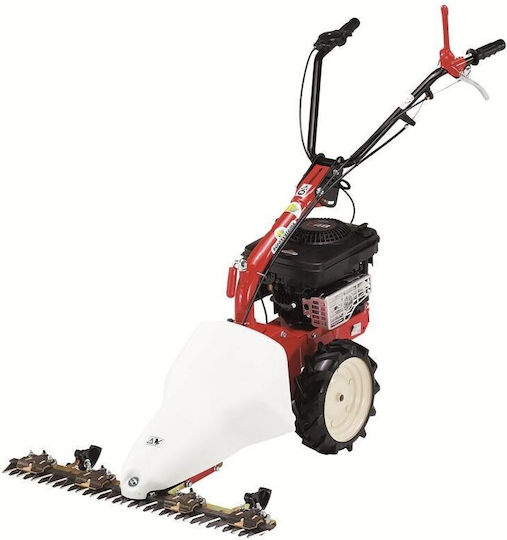 Eurosystems Loncin M 210 Четиритактов бензинов На колела Храсторез 57кг