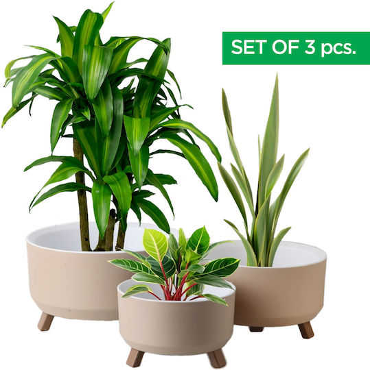 Set 3 Ghivece Plastice Set 3 Ghivece Plastice