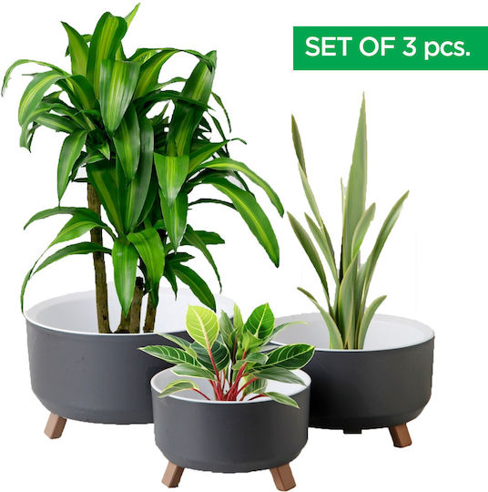 Set 3 Ghivece Plastice Gray Set 3 Ghivece Plastice Gray