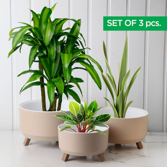 Set 3 Ghivece de Flori Din Plastic Albe