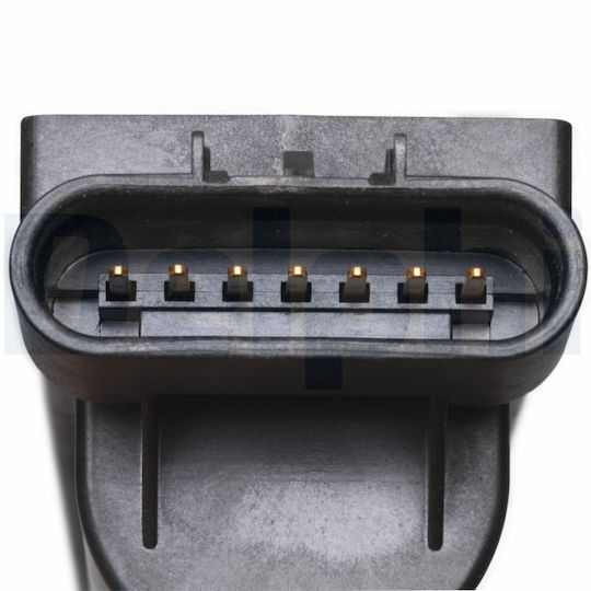 Delphi Car Ignition Coil