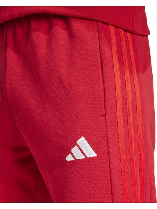 Bayern Football Sweatpants with Elastic Red