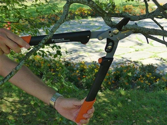 Garden Sport 01105 Bypass-Astschere Für Äste Bis 35mm