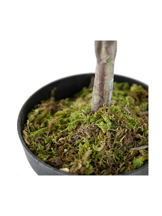 Artekko Olive Artificial Olive Plant Pot 40x30x66 Cm