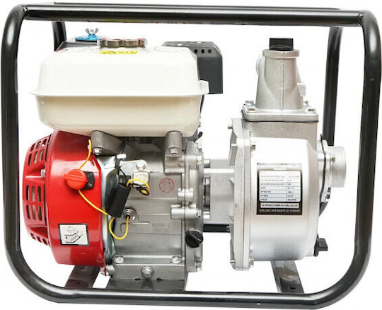 Pompa de apă de suprafață electrică 6.5hp