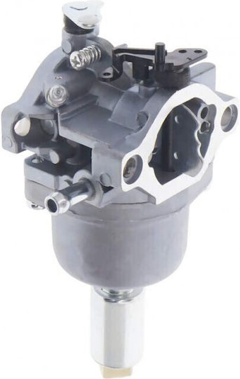 Briggs&Stratton Vergaser 794572 791858 Für Bürstenschneider Diverse Teile