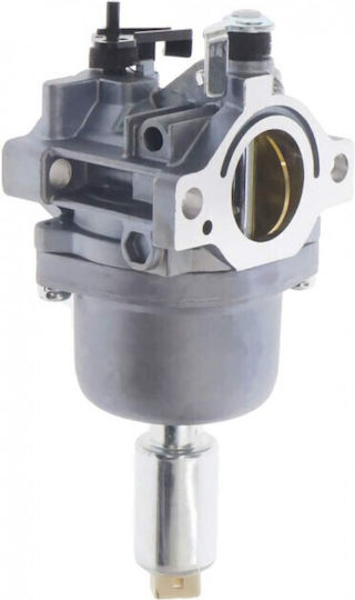 Briggs&Stratton Vergaser 794572 791858 Für Bürstenschneider Diverse Teile