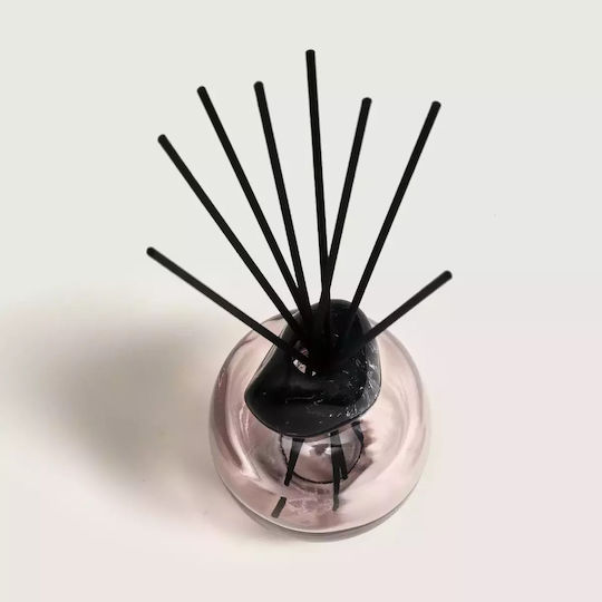 Maison Berger Paris Set Diffuser mit Duft Magnolie 007831 180ml