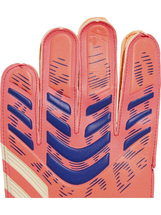 adidas Predator Training Γάντια Τερματοφύλακα Ενηλίκων Πορτοκαλί