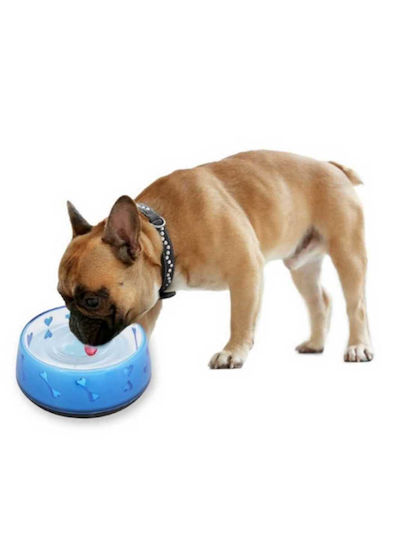 All For Paws Love Plastic Bowl Food & Water for Dog & Cat with Base 270ml 12cm (Various Colors)