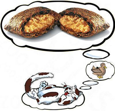 Dreamies Λιχουδιές με Πάπια Duck για Ενήλικες Γάτες 60gr