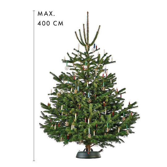 Length 17cm.