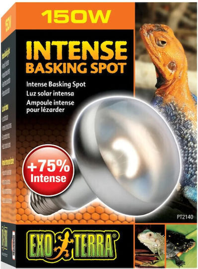 Exo Terra Intense Basking Spot 100w Accessory for Reptiles Terrarium