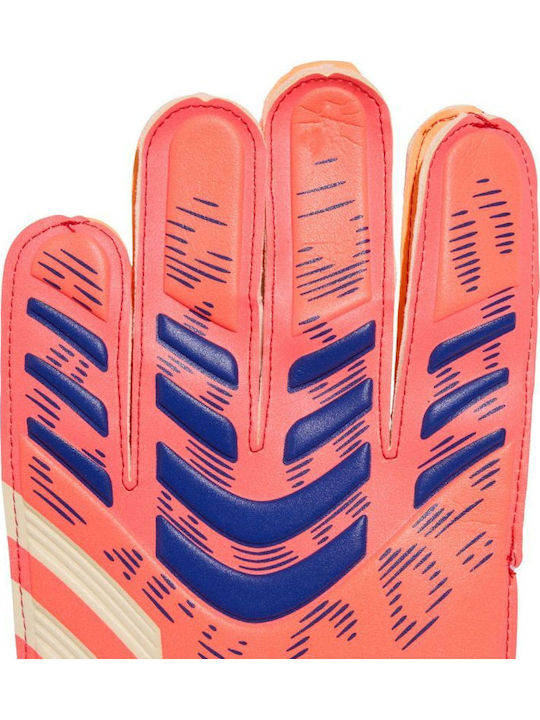 adidas Predator Pro Torwarthandschuhe Erwachsene Weiß