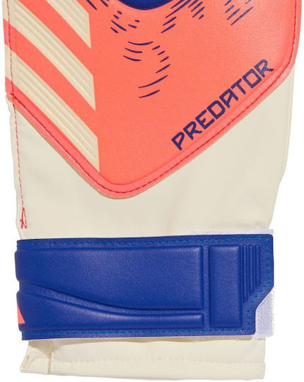 adidas Predator Pro Torwarthandschuhe Erwachsene Weiß