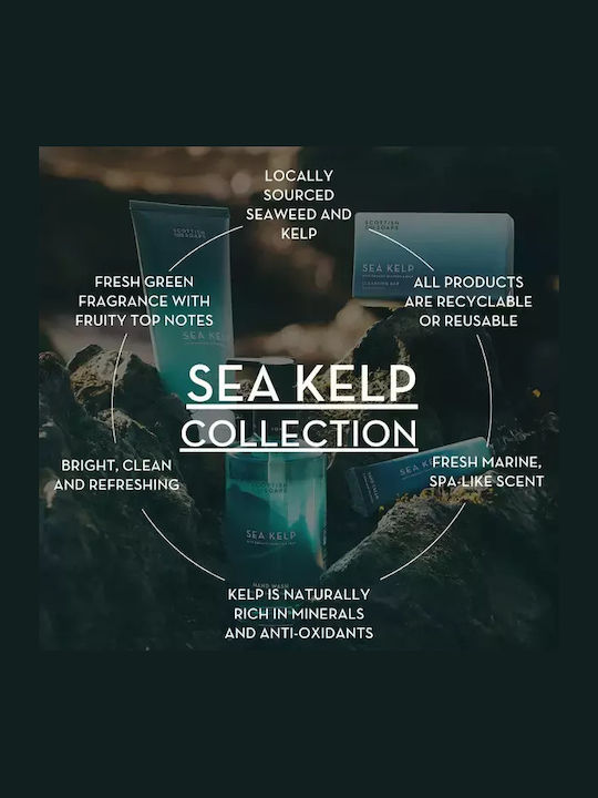 Sea Kelp Hautpflege-Set für Körperreinigung & Feuchtigkeitsspendend 4 Stück