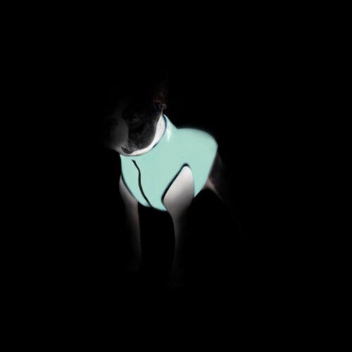 Wau Dog Waterproof Reversible Fluorescent Orange Dog Coat 22cm XSmall