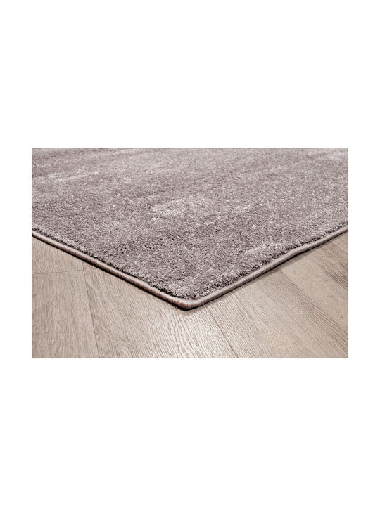 Newplan Μοκέτα Charm Καφέ 250x350cm