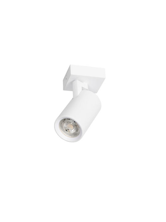 kelvo Single Spot with Socket GU10 in White Color