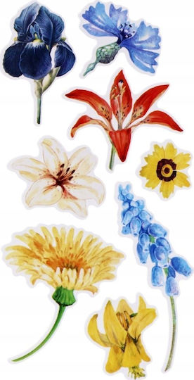 Sticker Boo Autocolant Decorativ pentru Copii Perete 18x6.5buc