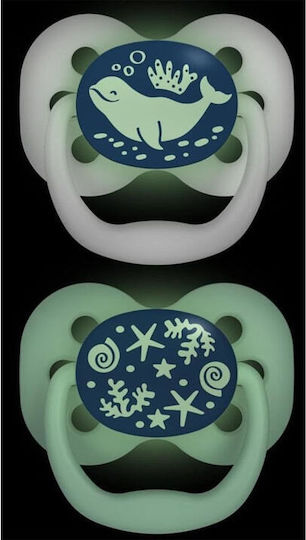 Dr. Brown's Advantage Pacifiers Silicone Night with Case White for 0-6 months 2pcs