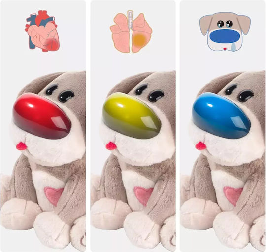Topbright Pretend Play Toy for 3+ Years